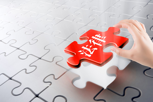 預(yù)算審計(jì)咨詢(xún)：指導(dǎo)企業(yè)開(kāi)展審計(jì)工作，確保預(yù)算合規(guī)