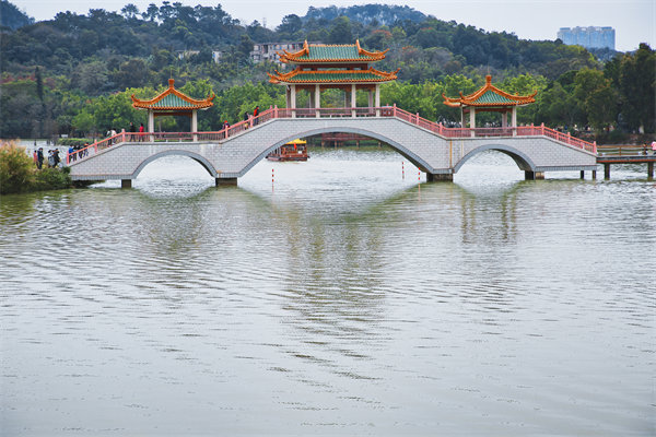 肇慶戰(zhàn)略咨詢公司如何為企業(yè)定制長遠(yuǎn)發(fā)展規(guī)劃？